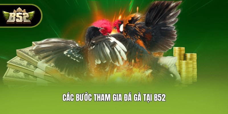                                         Các bước tham gia đá gà tại B52