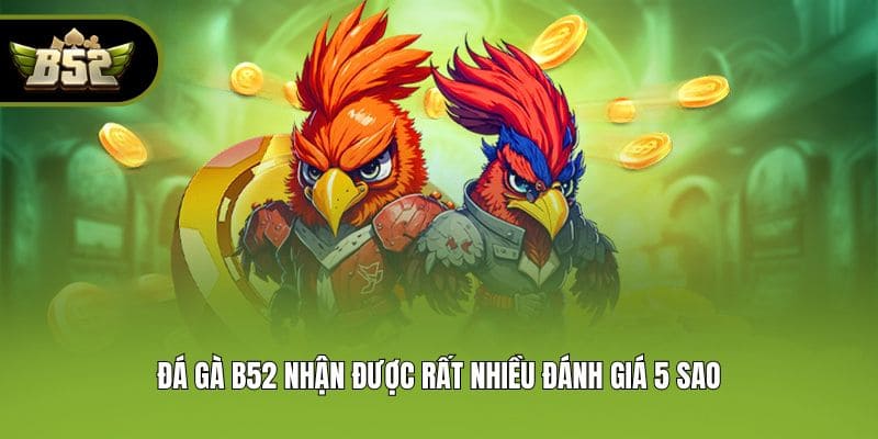 Đá gà B52 nhận được rất nhiều đánh giá 5 sao